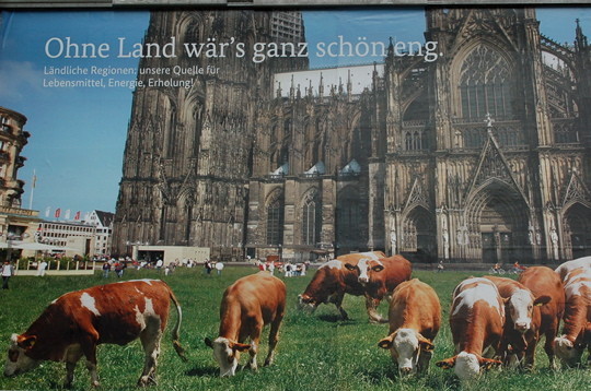 Köln hat Zukuhnft. Sogar die Kuhrie stellt eine prominente Fläche, die der Kirche gehört, zur Verfügung, um das Bäuerliche zurückzuholen ins Urbane. Die Zukunft käut das Vergangene wieder. Gut so. (Foto: Plakat des Bundeslandwirtschaftsministeriums) 