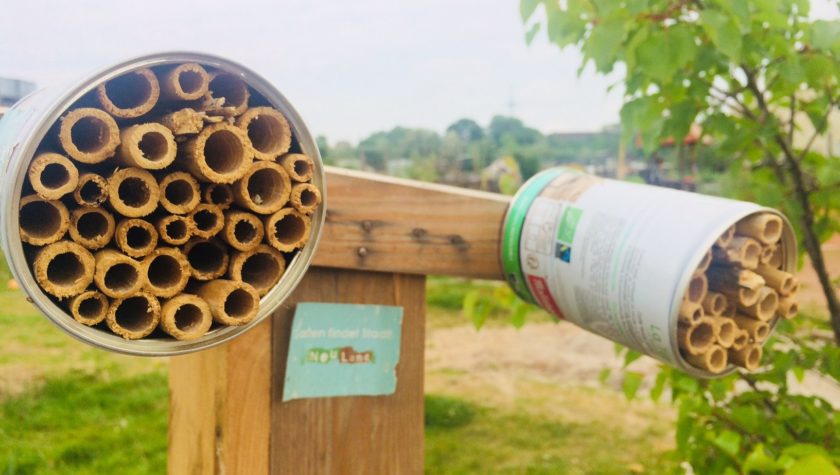 Insektenhotel einfach